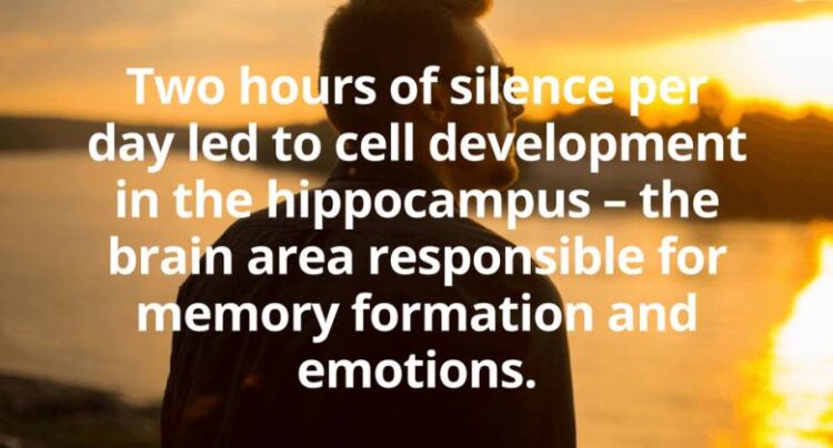 سکوت می‌تواند بر مغز ما تأثیر مثبتی بگذارد