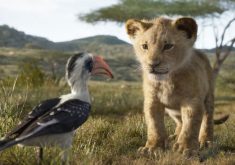 فروش جهانی لایو اکشن The Lion King از مرز یک میلیارد دلار عبور کرد